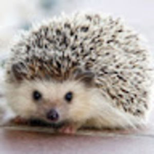 Meet your Posher, Aliana